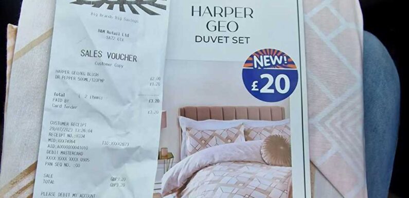 B&M shoppers race to nab £20 bedding that’s scanning for just £2 at the till – but you'll need to move fast | The Sun