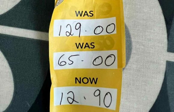 Bargain hunters are scrambling to Dunelm to enjoy their whopping sale – you can get a stunning chair for TEN times less | The Sun