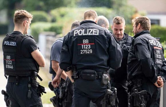 Berlin lioness updates — Cops 'deploy massive forces' as suspected big cat on the loose in German capital | The Sun