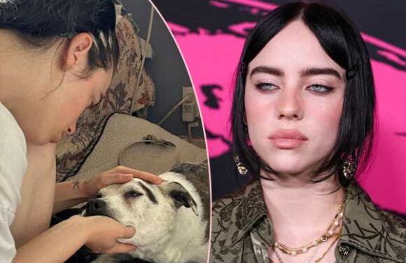 Billie Eilish Mourns The Death Of Her Childhood Dog In Heartbreaking Post: ‘I’ll Miss You Forever’