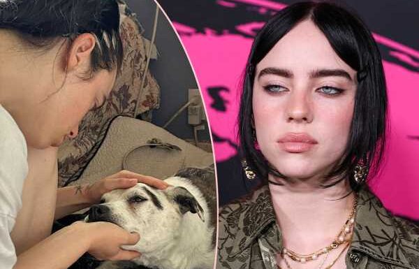 Billie Eilish Mourns The Death Of Her Childhood Dog In Heartbreaking Post: ‘I’ll Miss You Forever’