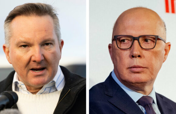 Bowen attacks Dutton as ‘alternative PM from the alt-right’