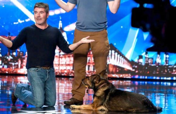 Britains Got Talent dog star that left audience in tears dies as tributes paid