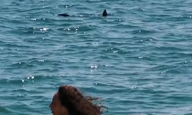 Chilling moment 7ft shark circles frightened tourists in France