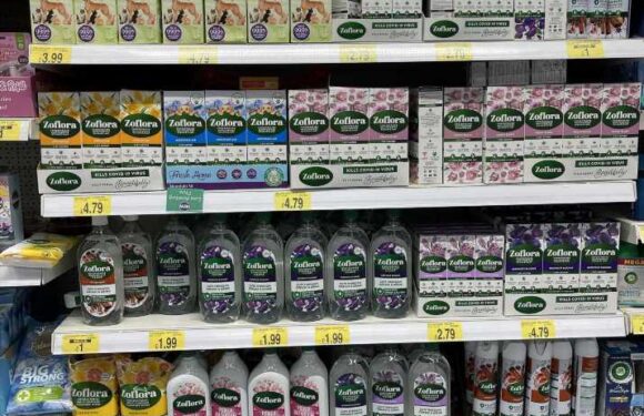 Cleaning fans in frenzy over new Zoflora product hitting shelves in weeks – but there’s a catch | The Sun