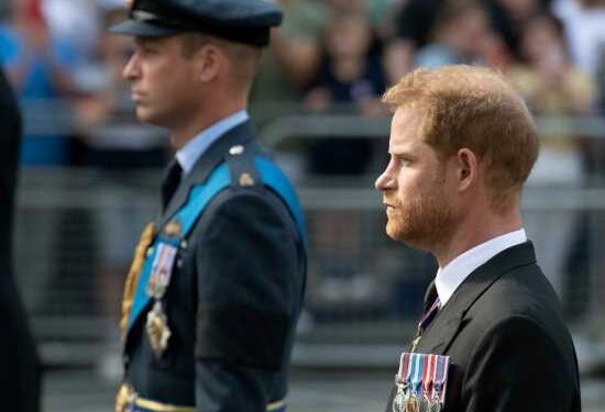 DM: Prince William would have to fund the Sussexes if they returned to the UK