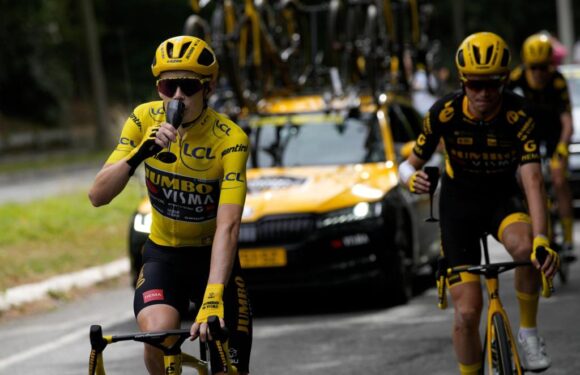 Danish rider Jonas Vingegaard wins the Tour de France for 2nd straight year – The Denver Post