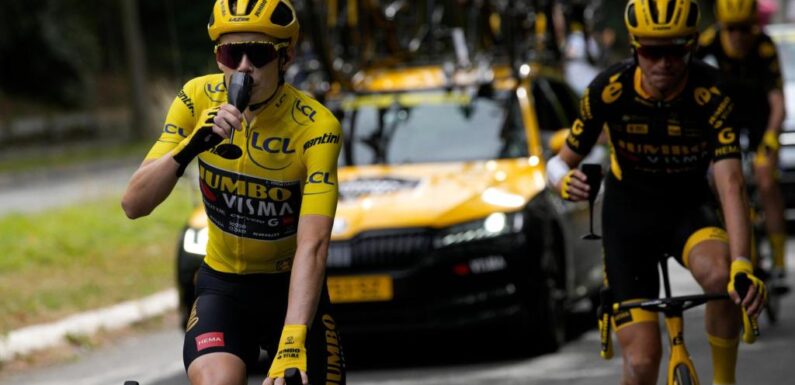 Danish rider Jonas Vingegaard wins the Tour de France for 2nd straight year – The Denver Post