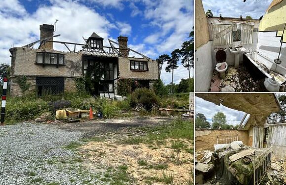 Derelict Sevenoaks mansion goes on the market for £1.75MILLION