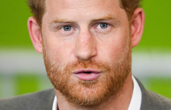 Don't let your obsession with vengeance destroy your future, Harry