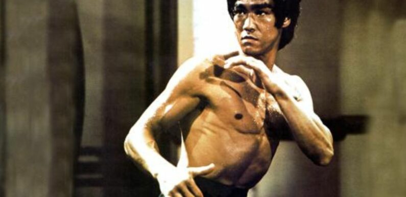 Dragon…the life and legacy of Bruce Lee