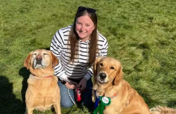 Drunk-driver who killed famous author’s stepdaughter Olivia Riley and her 3 dogs while racing two cars is jailed | The Sun
