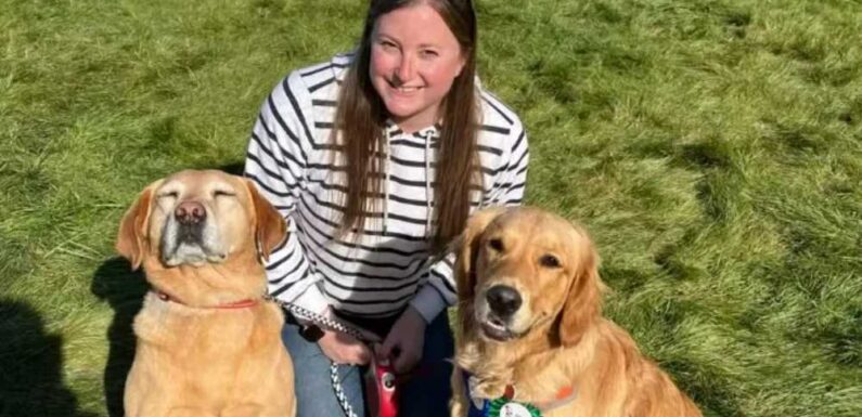 Drunk-driver who killed famous author’s stepdaughter Olivia Riley and her 3 dogs while racing two cars is jailed | The Sun