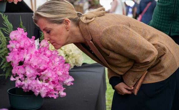 Duchess Sophie re-wears £250 spring dress and blazer at agricultural show