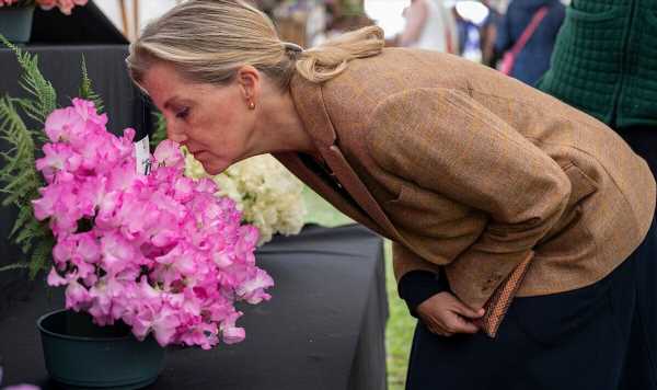 Duchess Sophie re-wears £250 spring dress and blazer at agricultural show