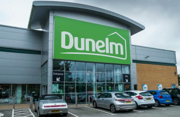 Dunelm shoppers rush to buy 'beautiful' homeware essential scanning at £13 instead of £129 | The Sun