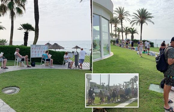 EXCLUSIVE: Brits on the Costa Del Sol lie down in wait for sunloungers