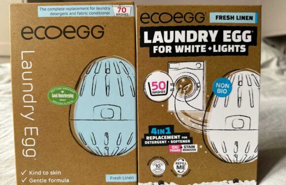 Ecoegg review: We tested the Ecoegg laundry aid, and it's a gamechanger — it saves on both money and plastic | The Sun