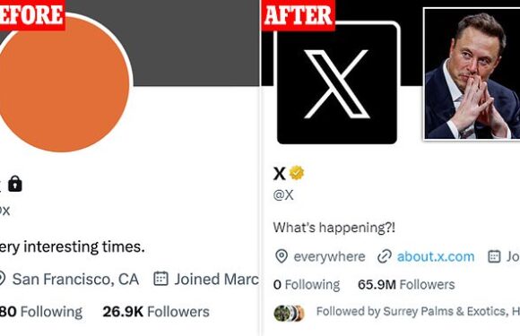Elon Musk accused of taking over @X Twitter account from photographer