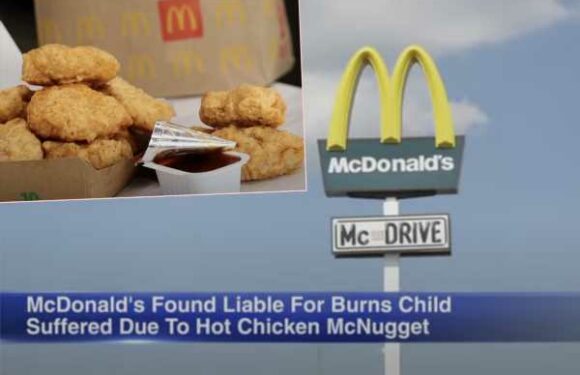 Florida Family Wins $800K From McDonald's Over HOT AF Chicken Nugget – It Burned A Child!!