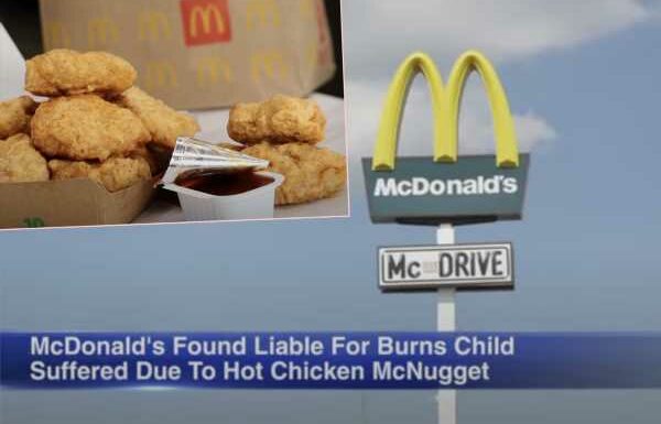 Florida Family Wins $800K From McDonald's Over HOT AF Chicken Nugget – It Burned A Child!!