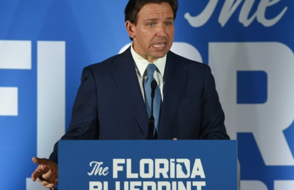 Florida’s new academic standards: ‘enslaved people developed skills for personal benefit’