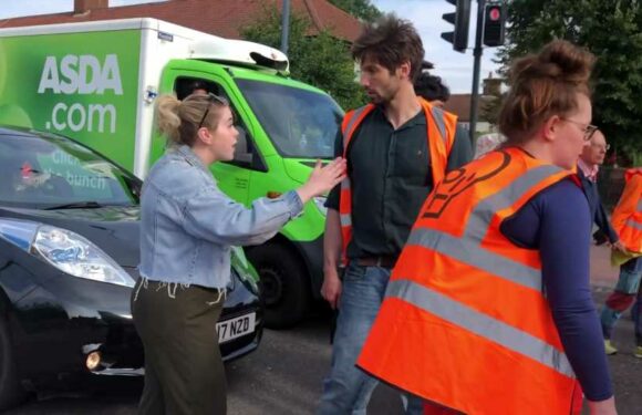 Furious mum screams 'my baby needs to go to hospital' at eco-yobs as they block road in ANOTHER slow march | The Sun