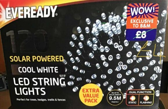 Gardening fans are racing to B&M to bag bargains for as little as £3 that'll brighten up your outside space in seconds | The Sun