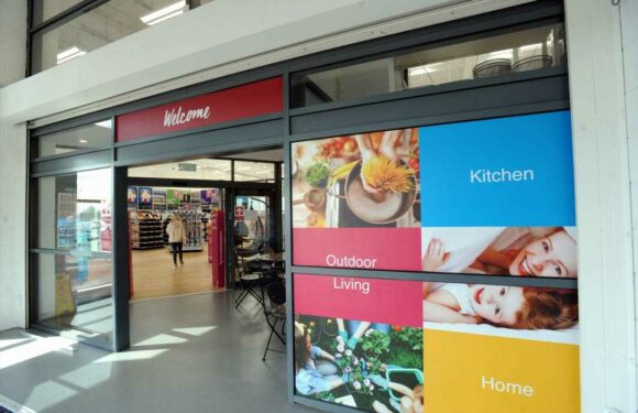 Gardening fans are rushing to buy £1.99 bargain from ‘B&M meets The Range’ store that will transform your garden | The Sun