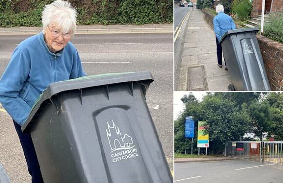 Great-grandmother, 94, forced to walk with her rubbish for two miles