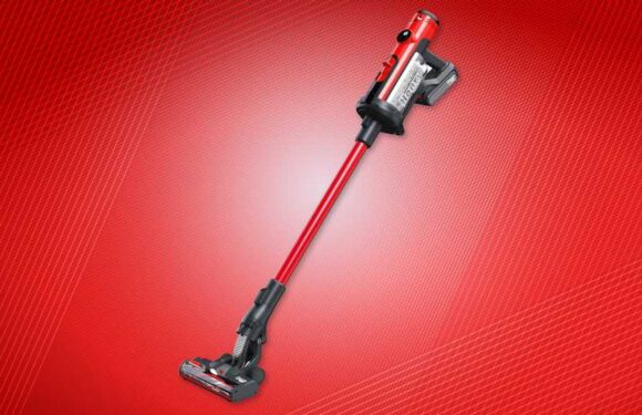 Henry Quick review: is the cordless version of the cult vacuum cleaner any good? | The Sun