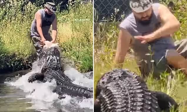 Horrifying moment Colorado man is almost devoured by huge alligator