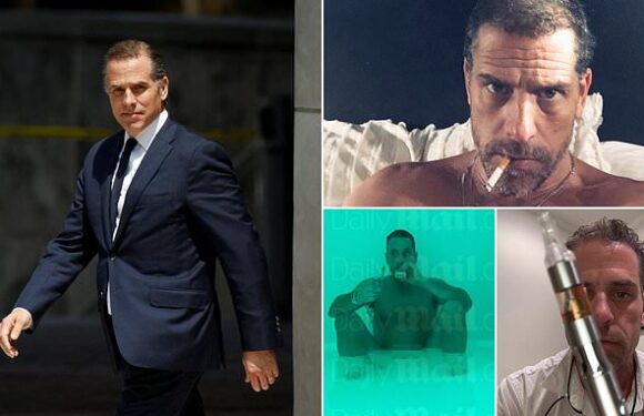 Hunter Biden reveals he has been to rehab SIX times