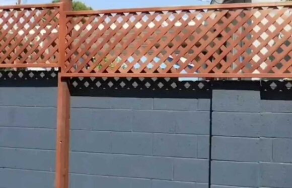 I added a privacy fence to my back garden so the neighbours can’t see me… now I can walk around in the nude again | The Sun