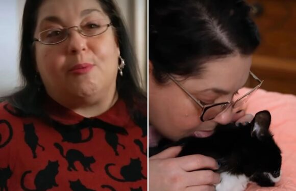 I can't stop licking my cats – people think I'm crazy but I don't have any children and they're my babies | The Sun