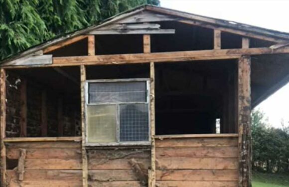 I converted my old horse stables into a country home – it took hard work but we're really proud of how it turned out | The Sun