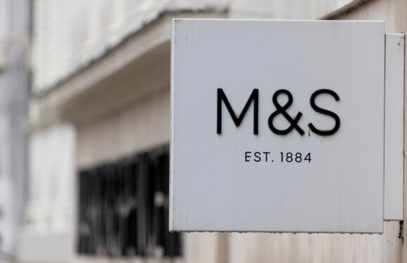 I found the perfect dupe for designer Celine bag at M&S and it's saved me over £3,000 – buy it while you can | The Sun