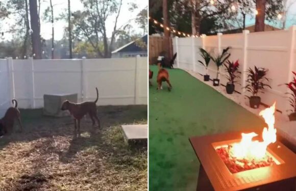 I gave my dull garden a mega makeover on a budget…I’ve turned it into an oasis and even used scraps to make my own sofa | The Sun