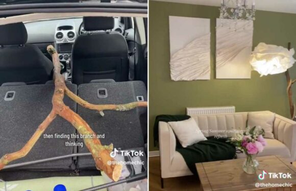 I made a posh lamp out of rubbish I found on the street, it cost next to nothing and is so perfect | The Sun