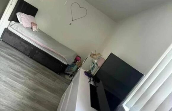 I transformed my daughters’ shared bedroom into two unique spaces for each of them – and just with a bargain IKEA buy | The Sun