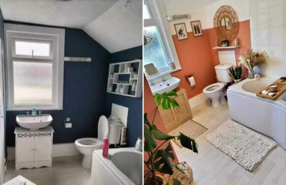 I transformed my dingy bathroom into a slice of heaven – my bargains were from B&M but you could do it even cheaper | The Sun
