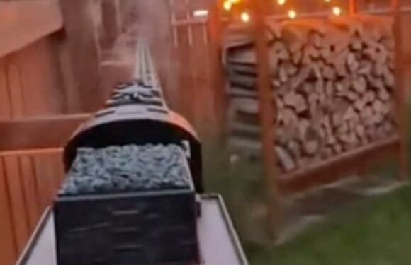 I upgraded my privacy fence with a playful touch – the electronic addition is fully functional around my whole yard | The Sun