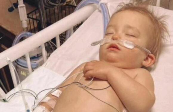 I want to share my little boy's heartbreaking story so my poor choice can help other parents | The Sun