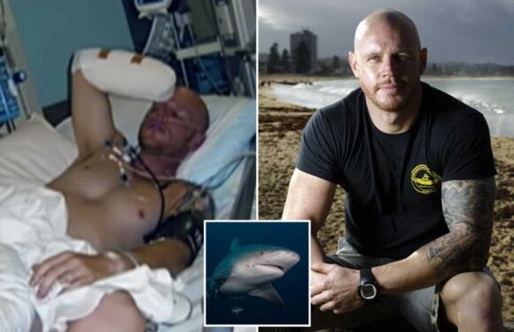 I was mauled by a 50-stone shark – I felt 350 teeth working through my bones like a saw as it ripped off my arm & leg | The Sun