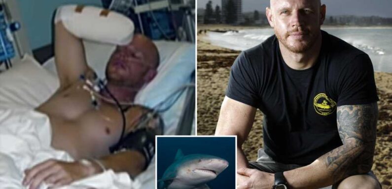 I was mauled by a 50-stone shark – I felt 350 teeth working through my bones like a saw as it ripped off my arm & leg | The Sun
