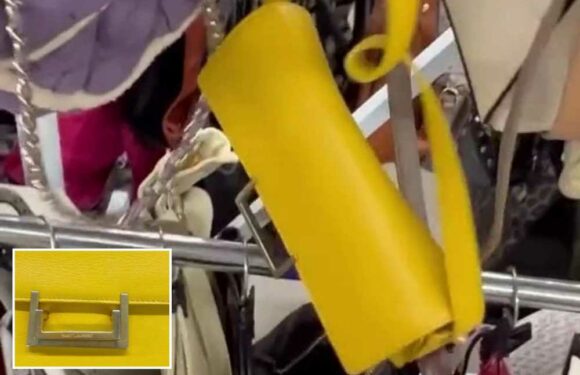 I went charity shopping and hit the jackpot when I spotted a designer goodie for just £10… it’s worth hundreds | The Sun