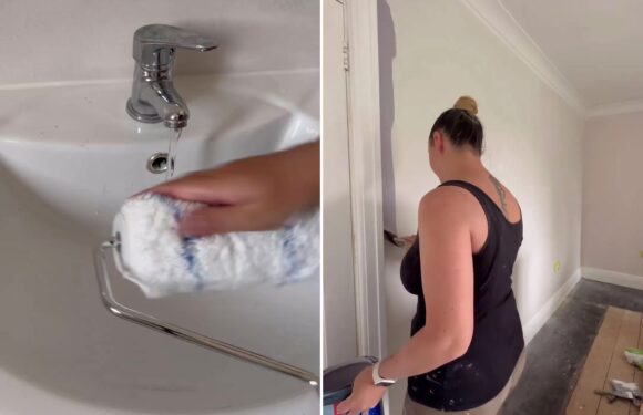 I’m a decorator – 5 things I bet you’re doing wrong… you should be adding something to your paint for starters | The Sun
