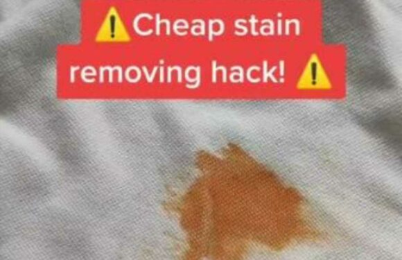 I’m a savvy mum – here’s a 3p hack to get stains out of your kids’ clothes in seconds with common kitchen item | The Sun