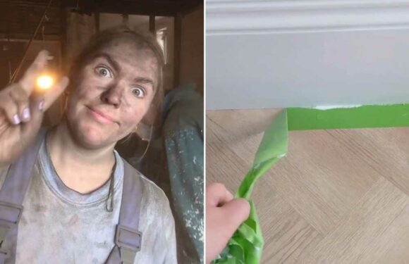 I’m calling out your DIY mistakes – your rollers are wrong & your skirting boards need changing, it's wasting time | The Sun