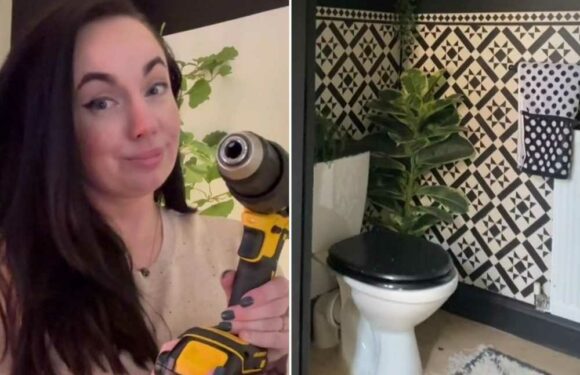 I'm a DIY fan and love tricking people – the 10 things in my house which are way less posh than you’d realise | The Sun